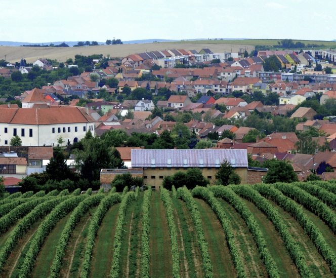 Pohled přes vinice na jihomoravské Čejkovice